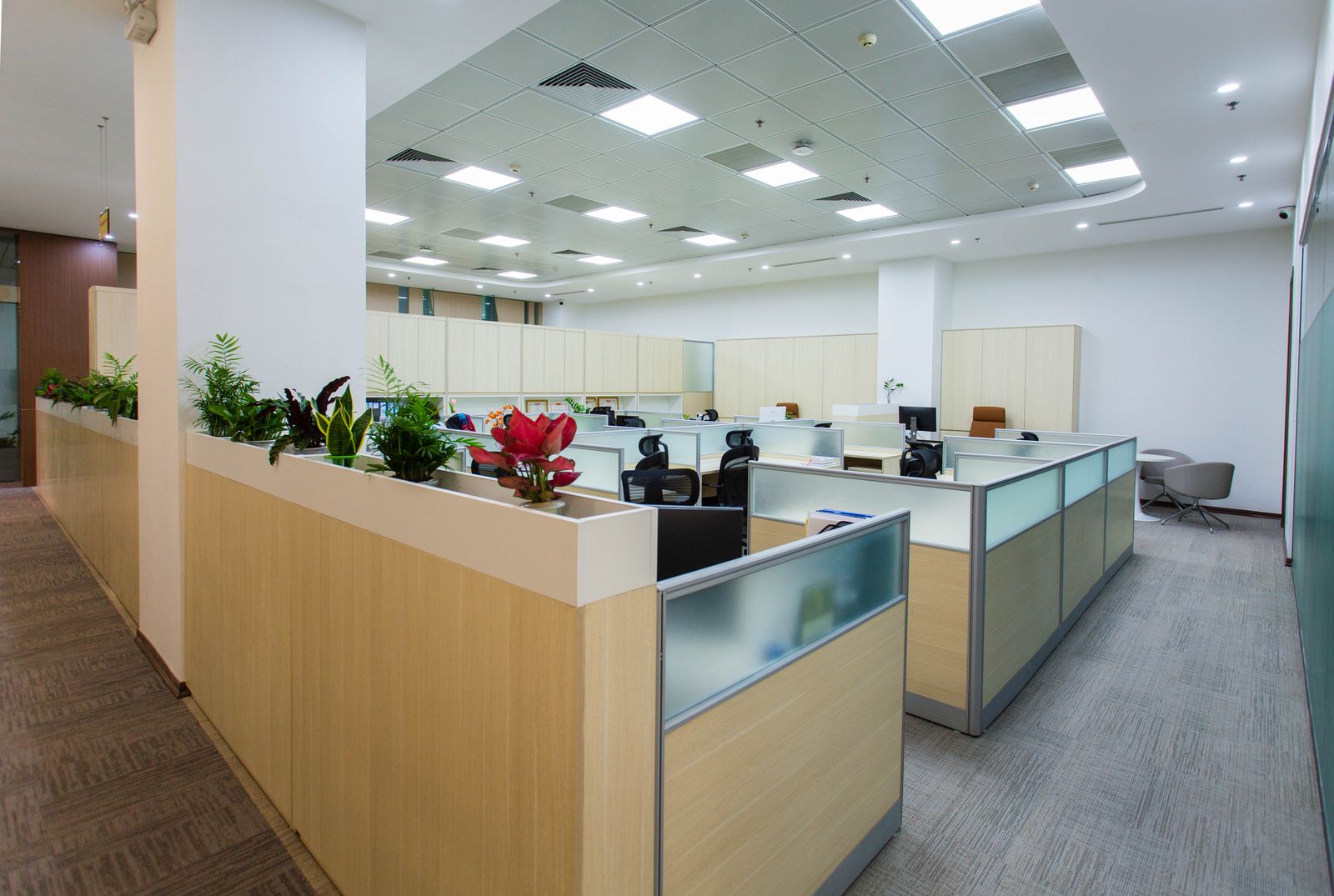 Bright modern office space with clean carpet